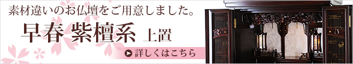 素材違いのお仏壇 早春 紫檀系