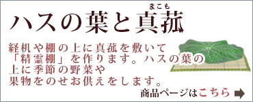 蓮の葉と真菰